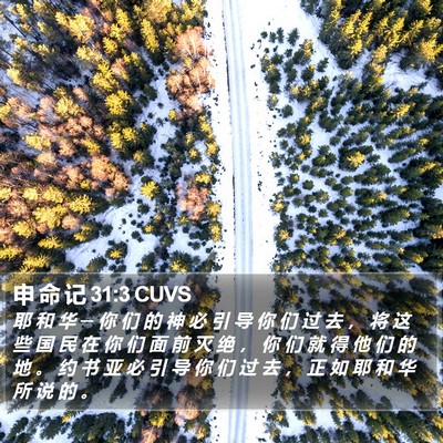 申 命 记 31:3 CUVS Bible Verse Image