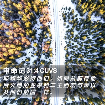申 命 记 31:4 CUVS Bible Verse Image