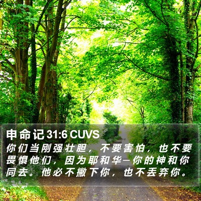 申 命 记 31:6 CUVS Bible Verse Image