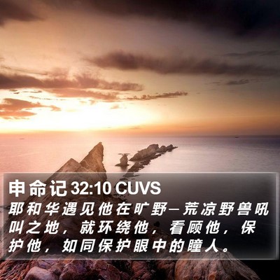 申 命 记 32:10 CUVS Bible Verse Image
