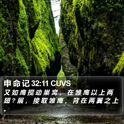 申 命 记 32:11 CUVS Bible Verse Image