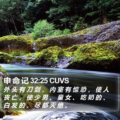 申 命 记 32:25 CUVS Bible Verse Image