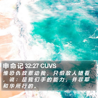 申 命 记 32:27 CUVS Bible Verse Image