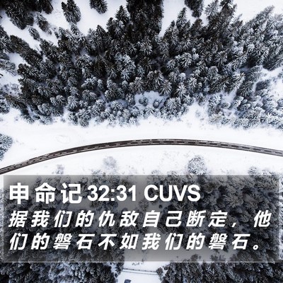 申 命 记 32:31 CUVS Bible Verse Image