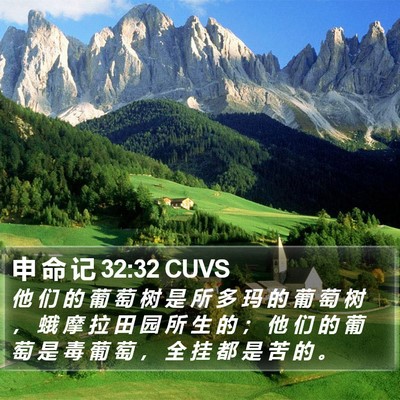 申 命 记 32:32 CUVS Bible Verse Image