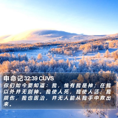 申 命 记 32:39 CUVS Bible Verse Image