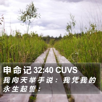 申 命 记 32:40 CUVS Bible Verse Image