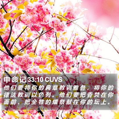 申 命 记 33:10 CUVS Bible Verse Image