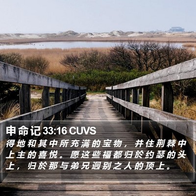 申 命 记 33:16 CUVS Bible Verse Image