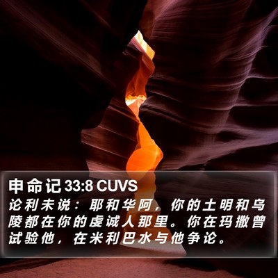 申 命 记 33:8 CUVS Bible Verse Image