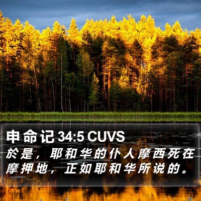 申 命 记 34:5 CUVS Bible Verse Image