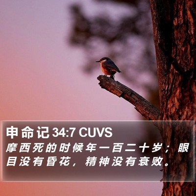 申 命 记 34:7 CUVS Bible Verse Image