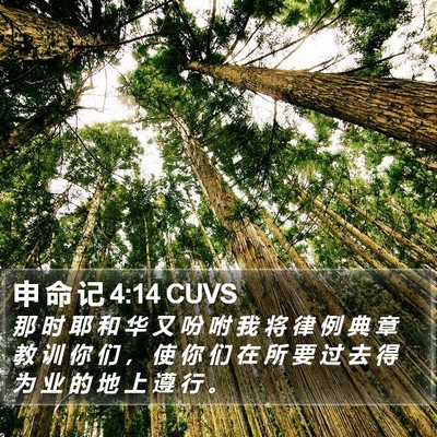 申 命 记 4:14 CUVS Bible Verse Image