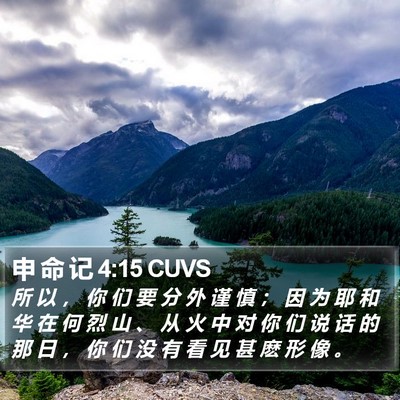 申 命 记 4:15 CUVS Bible Verse Image