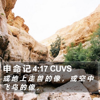 申 命 记 4:17 CUVS Bible Verse Image