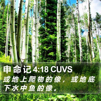 申 命 记 4:18 CUVS Bible Verse Image