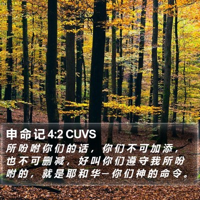 申 命 记 4:2 CUVS Bible Verse Image