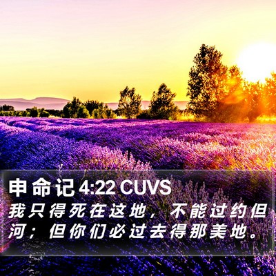申 命 记 4:22 CUVS Bible Verse Image
