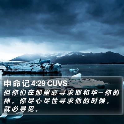 申 命 记 4:29 CUVS Bible Verse Image