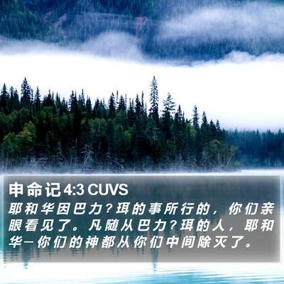 申 命 记 4:3 CUVS Bible Verse Image