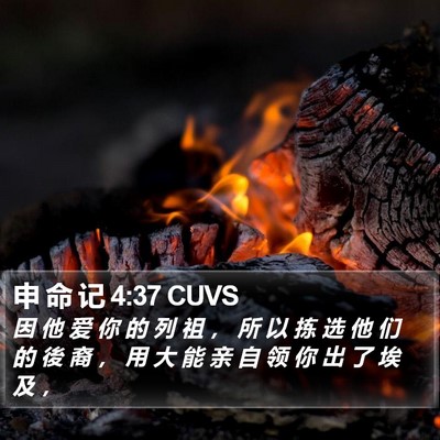 申 命 记 4:37 CUVS Bible Verse Image