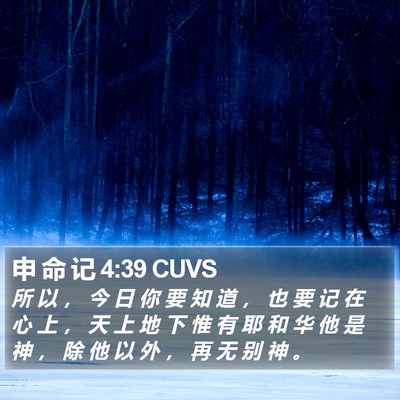 申 命 记 4:39 CUVS Bible Verse Image