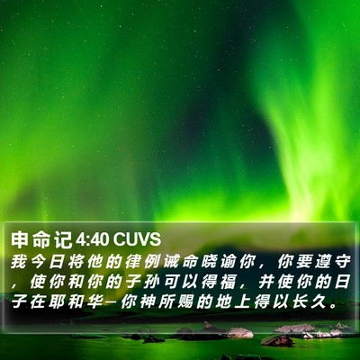 申 命 记 4:40 CUVS Bible Verse Image