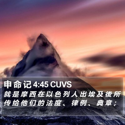 申 命 记 4:45 CUVS Bible Verse Image