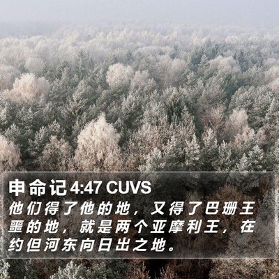 申 命 记 4:47 CUVS Bible Verse Image