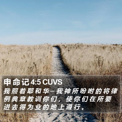 申 命 记 4:5 CUVS Bible Verse Image