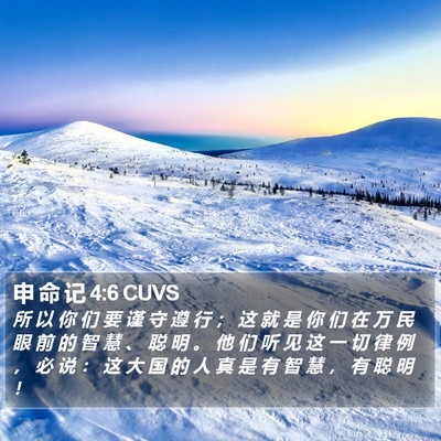 申 命 记 4:6 CUVS Bible Verse Image