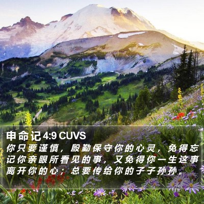 申 命 记 4:9 CUVS Bible Verse Image