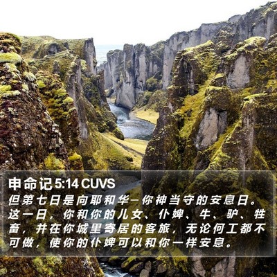 申 命 记 5:14 CUVS Bible Verse Image