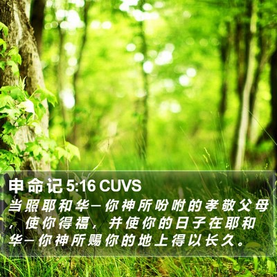 申 命 记 5:16 CUVS Bible Verse Image