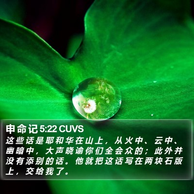 申 命 记 5:22 CUVS Bible Verse Image