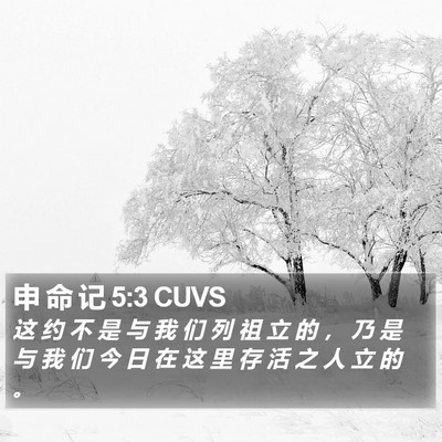 申 命 记 5:3 CUVS Bible Verse Image