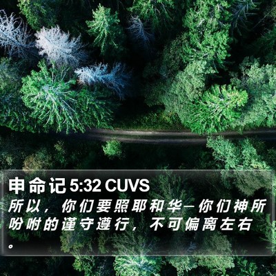 申 命 记 5:32 CUVS Bible Verse Image