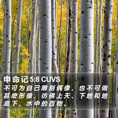 申 命 记 5:8 CUVS Bible Verse Image