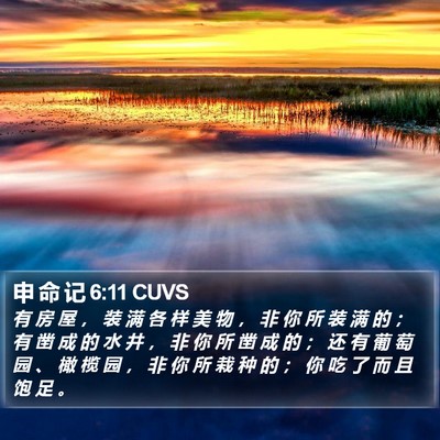 申 命 记 6:11 CUVS Bible Verse Image