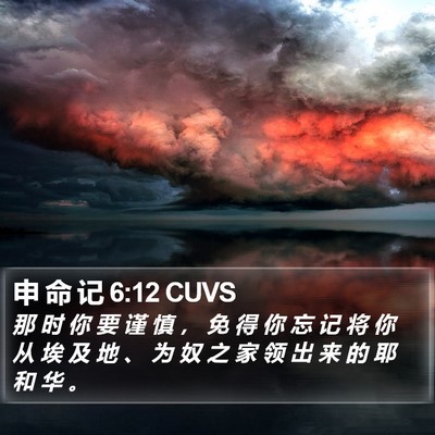 申 命 记 6:12 CUVS Bible Verse Image