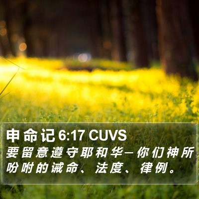 申 命 记 6:17 CUVS Bible Verse Image
