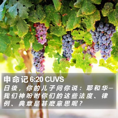 申 命 记 6:20 CUVS Bible Verse Image