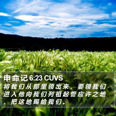 申 命 记 6:23 CUVS Bible Verse Image