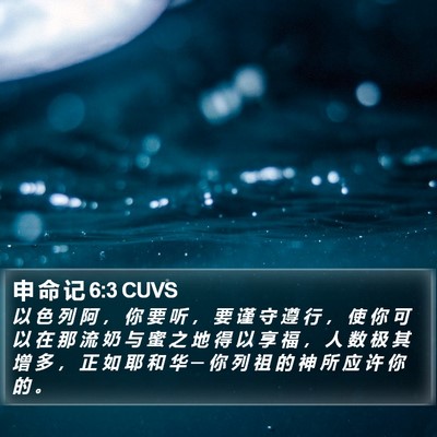 申 命 记 6:3 CUVS Bible Verse Image