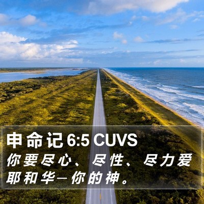 申 命 记 6:5 CUVS Bible Verse Image