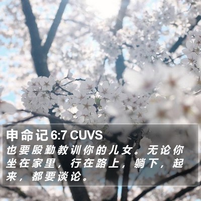 申 命 记 6:7 CUVS Bible Verse Image