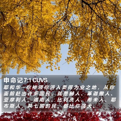 申 命 记 7:1 CUVS Bible Verse Image