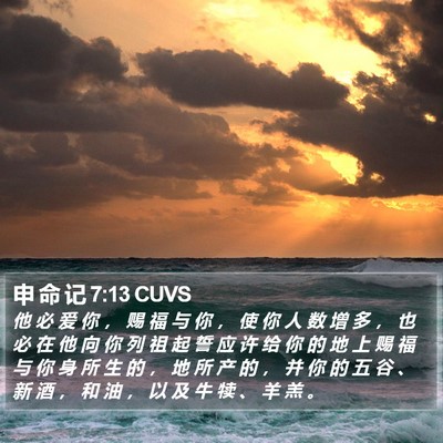 申 命 记 7:13 CUVS Bible Verse Image