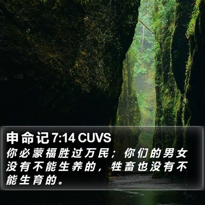 申 命 记 7:14 CUVS Bible Verse Image