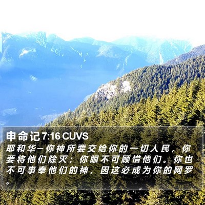 申 命 记 7:16 CUVS Bible Verse Image
